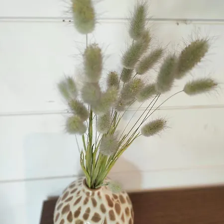 Nature & Calme, Et Foret A Pied